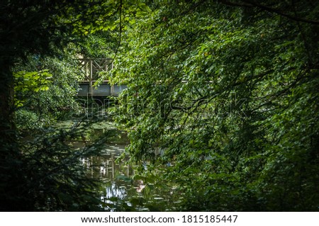 Image shows a picture of a metal bridge in the midst of the woods. No People