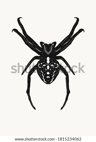 Spider in black and white fancy and attractive sketch 