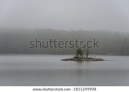 Nature photography, foggy day in September. View of a landscape with trees, water and mist. Natural background with copy space, place for text.
