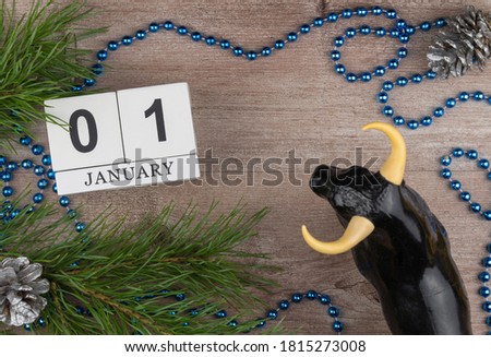 calendar with the date January 01. Handmade wood cube with date month and day on a wooden table. bull as a symbol of the new year 2021. festive decorations and fir branches with cones. 