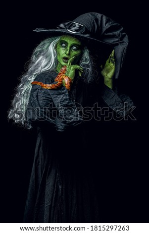 Halloween. Portrait of a scary ugly witch talking with her poisonous snake on a black background. Scary tales. Witchcraft. 