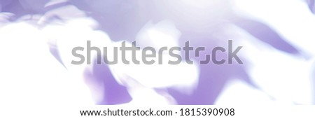 Purple Leaf background. Blurred leaves and circular bokeh. Abstract for design and wallpaper.