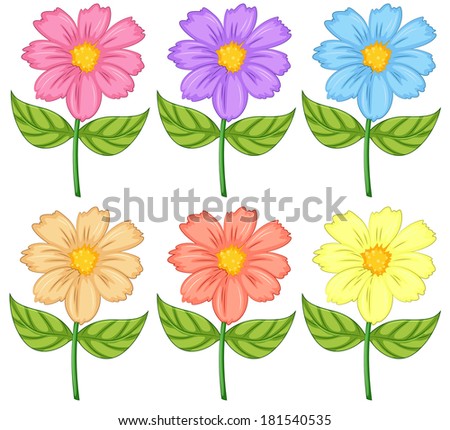 Illustration of the six colorful flowers on a white background