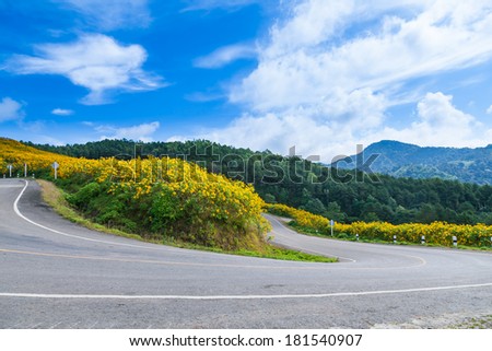 Curve road on the hill with flowers by the roadside. Front of the mountains and forests