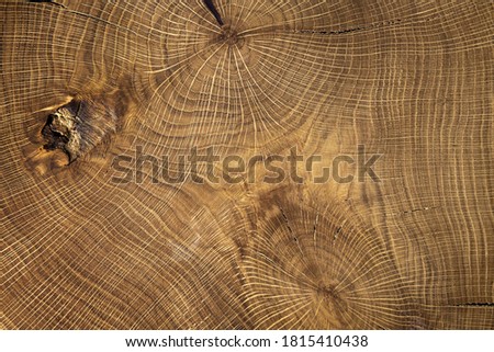 Old wooden texture. Timber background. Kitchen table