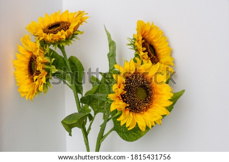 decorative vase with sunflowers inside