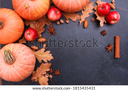 Fall spices, orange pumpkins, ripe apples, dry oak leaves, acorns on dark grey table background. Top view, copy space. Food, autumn, holiday, thanksgiving, harvest concept. 