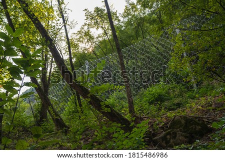Rock protection nets in a forest in Eppan in South Tyrol, Italy