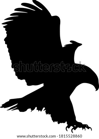 Vector image of an eagle