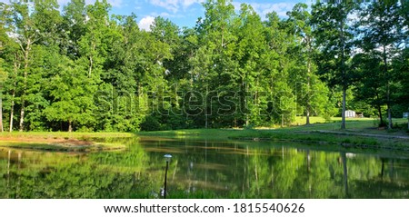 Pond with trees reflecting on water