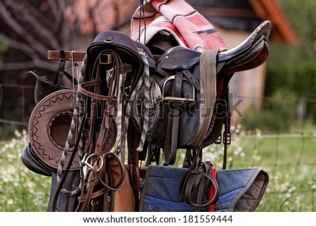 Photo lot of saddlery in the farm