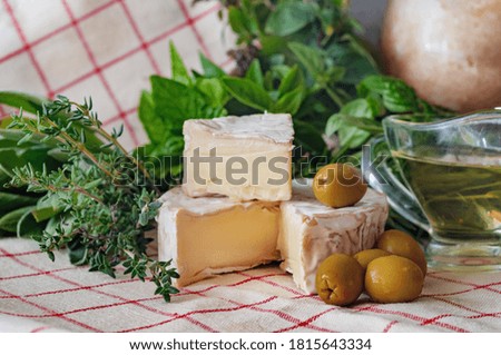 White blue cheese, green olives, vegetable oil and fresh herbs on the background. Food photography