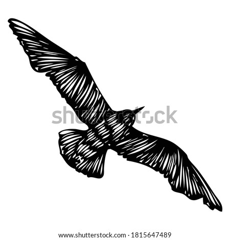 Black seagull, hand drawn strokes marine sea gull bird. Drawing sketch. Inspirational body  or flesh tattoo ink for sailor. Nautical vector.