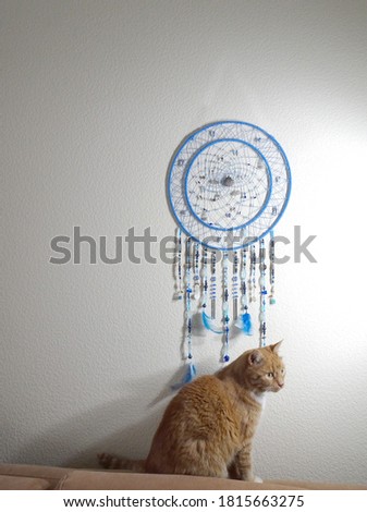 blue sea dream catcher on a light wall and ginger cat, copy space