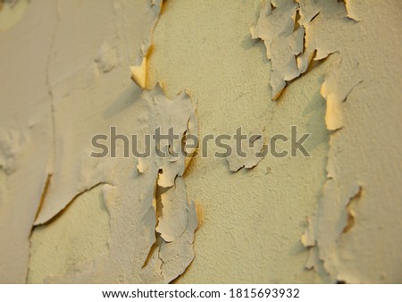 Wall with peeling oil paint. Crackle pattern for print or design. Close - up of a tinted image of an old beige painted wall with cracks and flaking bits of oil