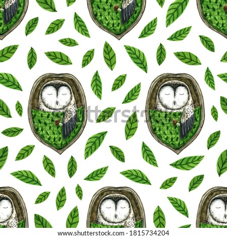 Pattern with sleeping owl in walnut shell. Watercolor hand painted illustration