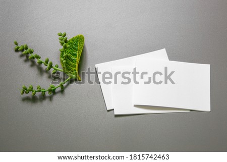 Flat lay blank portrait mock-up paper and Tropical jungle Monstera leaves. brochure magazine isolated on gray, changeable background.