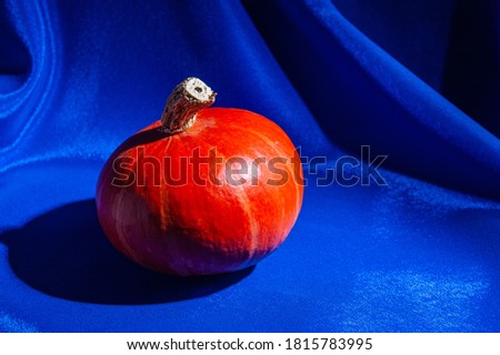 pumpkin on a blue background