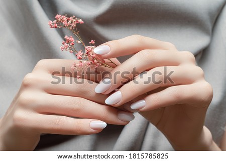 Female hands with white nail design. Female hands holding pink autumn flower. Woman hands on gray fabric background. Royalty-Free Stock Photo #1815785825