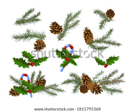 Set of Christmas Festive Decor with Fir-Tree Branches and Pine Cones with Candy Canes and Holly Berry and Leaves. Holidays Design Element for Greeting Card. Realistic 3d Vector Illustration, Clip Art