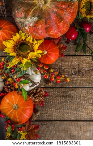 Festive autumn background, with traditional decor - pumpkins, berries, fruits, leaves on old wooden background. Thanksgiving day and Halloween holiday greeting card concept. Autumn flatlay