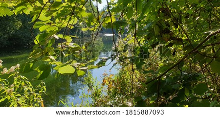 view of a river named traun in wels city upper austria photographed laterally from the bank on a sunny summer day