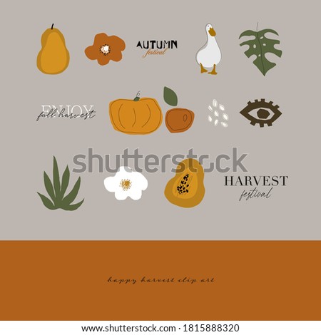 cute harvest autumn clip art elements and text inscriptions with seasonal fruits , vegetables, florals and leaves, domestic bird goose . Modern abstract organic cut shapes