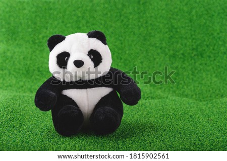 Animal toy : Panda bear doll put on the green grass