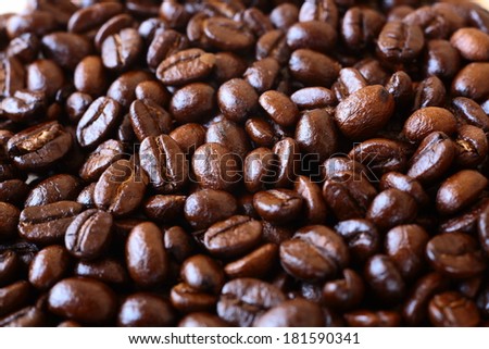coffee bean.