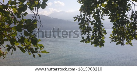 to see the beautiful attersee in upper austria the picture was taken on an overcast summer day to see the lake and trees