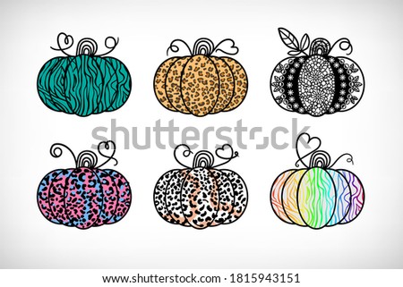 Pumpkins collection with trendy animal skin textures, floral decoration isolated on white background. Hand drawn vector illustration.
