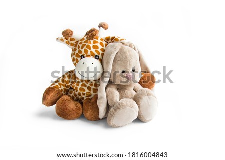 Plush toy giraffe and Bunny rabbit isolated on a white background Colorful plush toy. Colored stuffed toy-giraffe and Bunny. White and brown giraffe, grey rabbit
