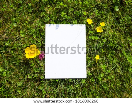 White canvas on the natural background. Sunny day in the park.  Free space for your design