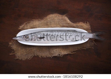 Fresh barracuda fish on dark brown background   Royalty-Free Stock Photo #1816108292