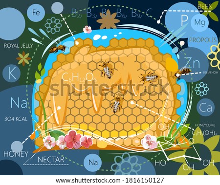 The benefits of bee products. Vitamins, trace elements, calories, energy value. The chemical composition of honey, wax, nectar, bee venom. Glucose formula. Vector illustration.