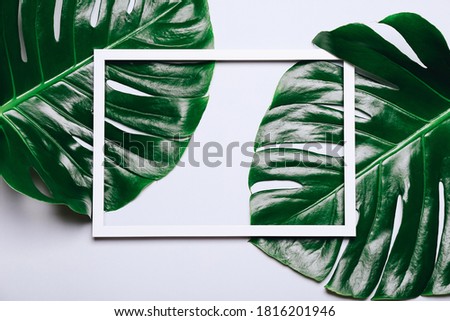 Empty picture frame with monstera leaves on grey background, top view