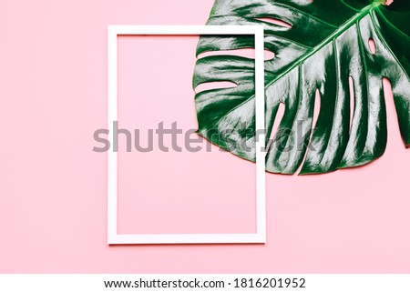 Empty picture frame with monstera leaves on pink background, top view