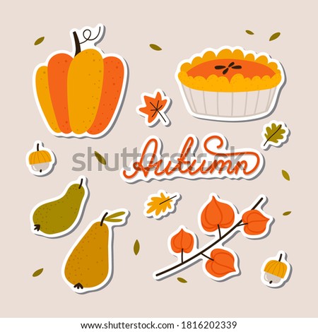 Hand drawn set of cute autumn stickers. Pumpkin, pie, pears, physalis, lettering. Vector isolated cartoon icons for web, apps, sticker print, poster, tag, invitation.