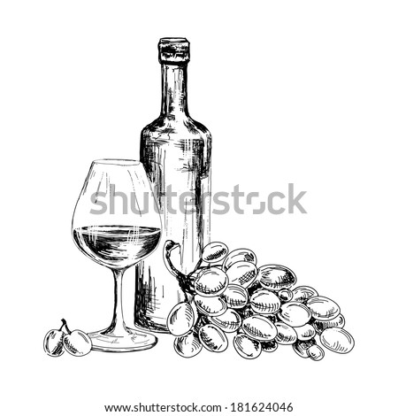 Wine and bunch of grapes. Hand drawn illustration