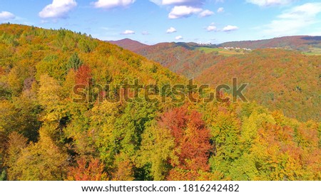 DRONE: Scenic view of the gorgeous autumn colored landscape in Kranjska Gora. Cinematic aerial shot of the dense deciduous woods changing leaves at the peak of autumn. Vibrant fall-colored countryside