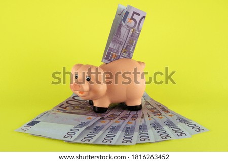 Image of pig piggy bank and euro banknotes, on yellow background