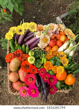 An appealing arrangement of some freshly picked vegetables. This would be a great picture for a home gardening website! 