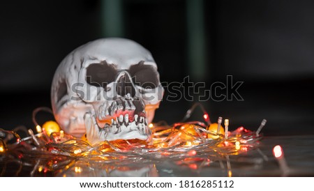 A skull placed on the ground and a string of beautiful lights on Halloween.