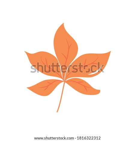 leaf of sugar maple icon over white background, flat style, vector illustration