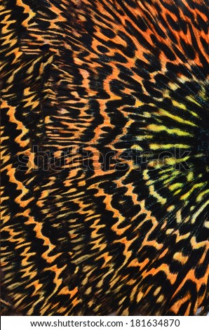 Seamless Tiger pattern background