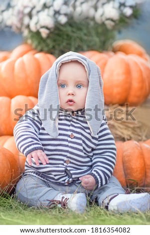 full size portrait of a cute baby boy in a rabbit costume sitting near huge pumpkins