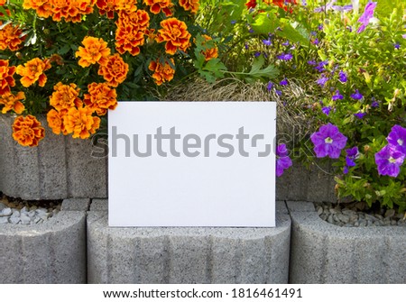 White canvas on the natural background with flowers. Sunny day in the park.  Free space for your design