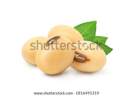 Soybeans  with green leaves  isolated on white background. Royalty-Free Stock Photo #1816495319