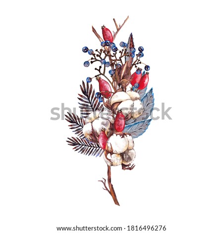 Winter vertical bouquet of  realistic  decorative elements. Dry plants, branch, cotton, fir, leaves, dog rose and wild grape berries.  Watercolor hand painted isolated frame on white background.