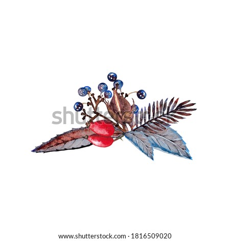 Winter small boutonniere  of  realistic  decorative elements. Dry plants, branch, cotton, fir, leaves, dog rose and wild grape berries.  Watercolor hand painted isolated frame on white background.